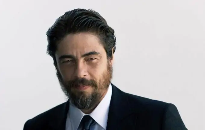 Aktyor Benicio Del Toro