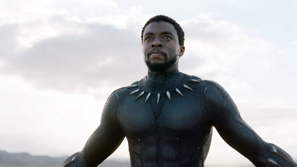 Chadwick Boseman som Black Panther