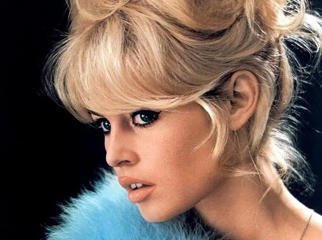 Kas yra Brigitte Bardot vyras