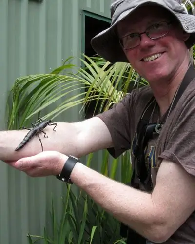 Homard des bois: l'insecte le plus rare de la planète