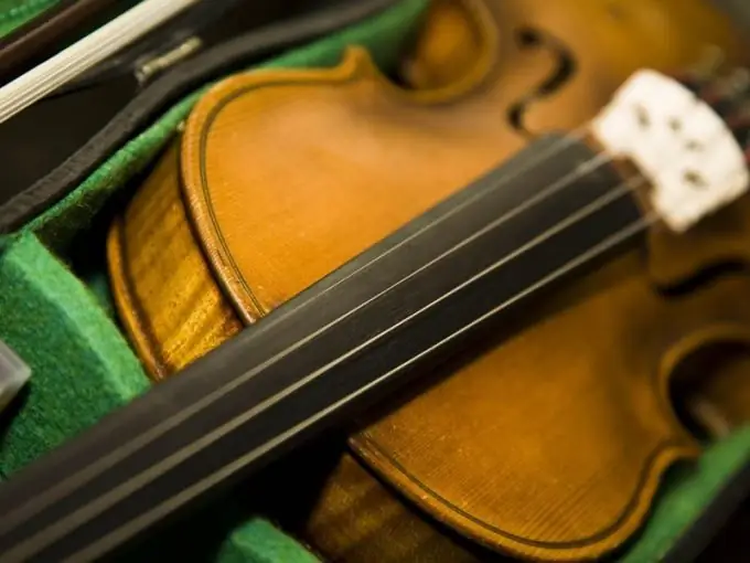 Stringed instruments form the basis of a chamber orchestra