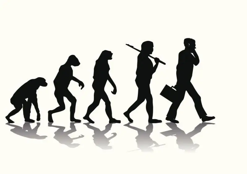 Wat Is Die Naam Van Die Verskynsel Teenoor Evolusie?