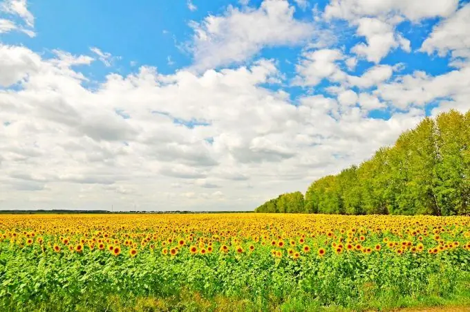 Il capture l'esprit de l'immensité de l'immensité de notre patrie