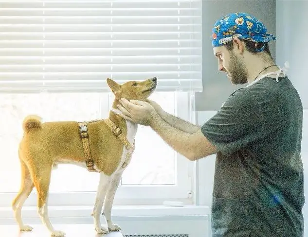 Anton Lapshin examines a patient