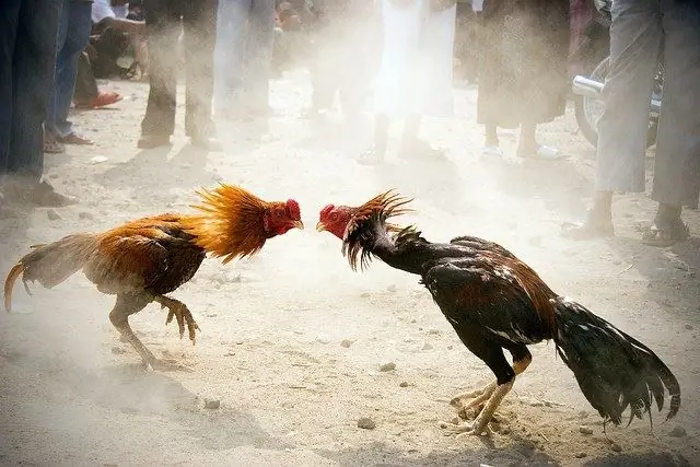 Πώς να σταματήσετε μια σύγκρουση