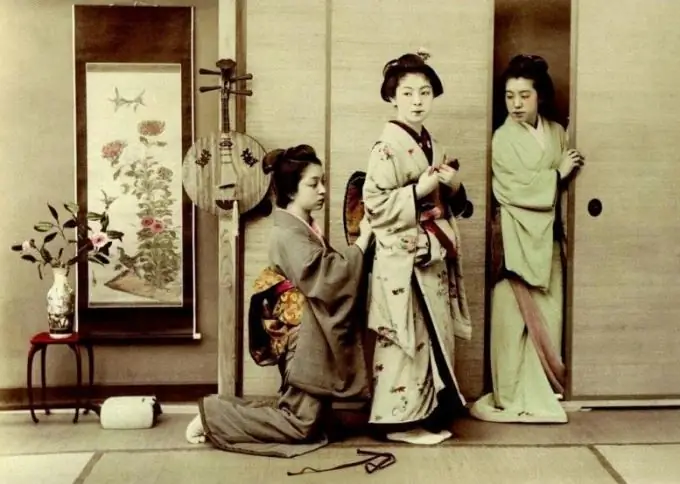 Geisha - who is she?