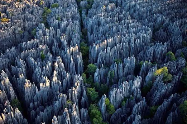 Planet yang menakjubkan: hutan batu