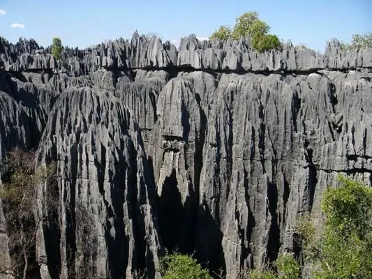 Amazing planet: stone forest